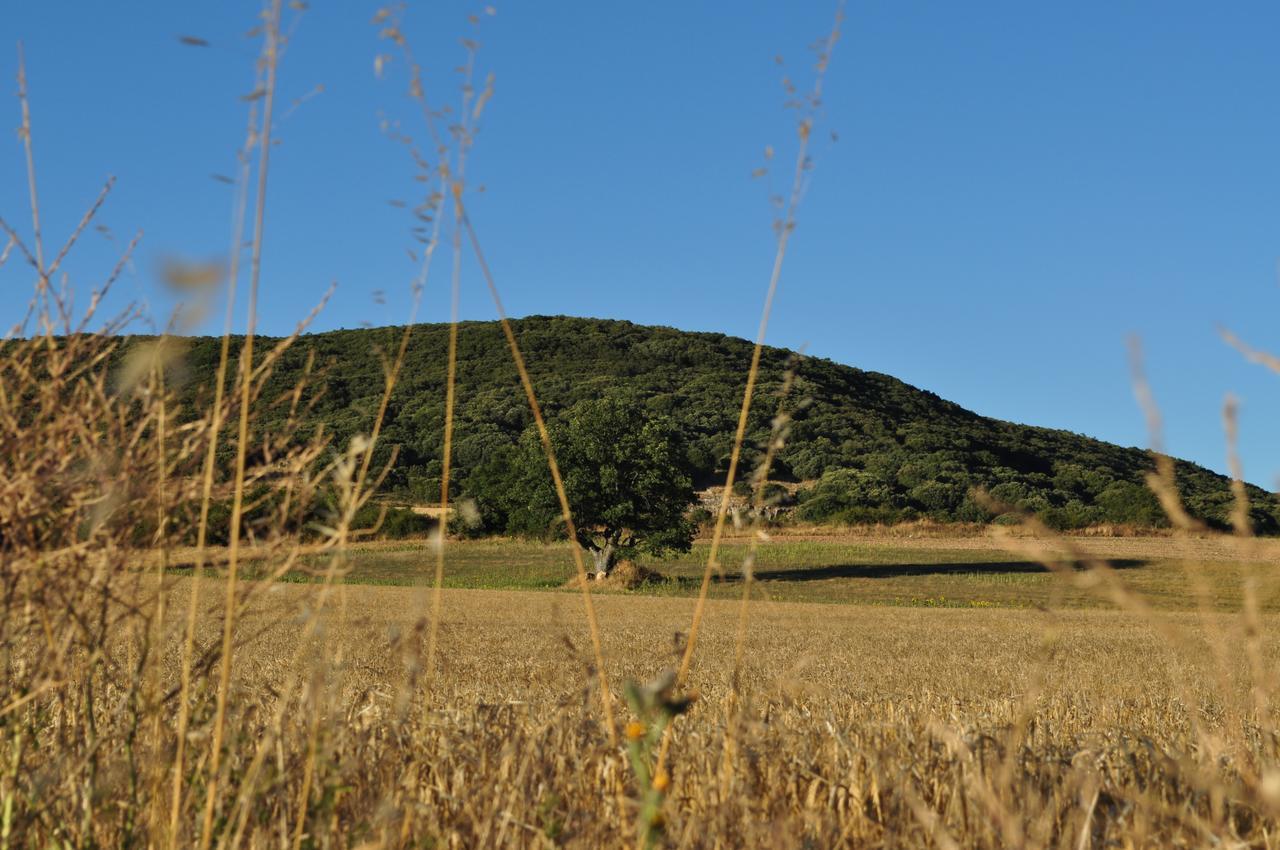 Ibeas de Juarros La Cabala De Ibeas Bed & Breakfast エクステリア 写真